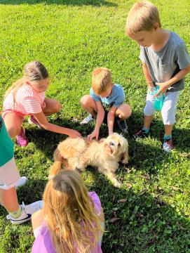 Kratkočasnice - Športne igre